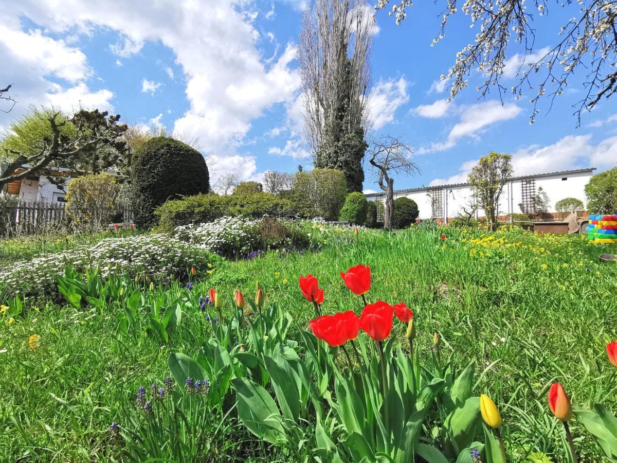 Bohnapartments Ega Stadtblick - Garten - Wlan - Naehe Theater Ega Und Messe Erfurt Eksteriør bilde